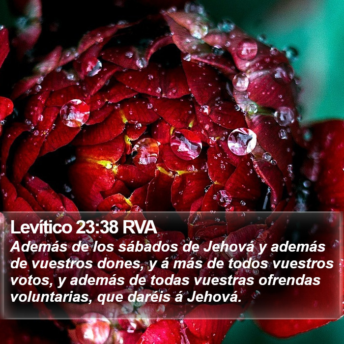 Levítico 23:38 RVA Bible Study