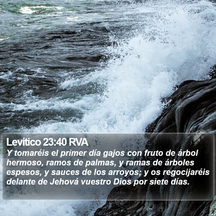 Levítico 23:40 RVA Bible Study