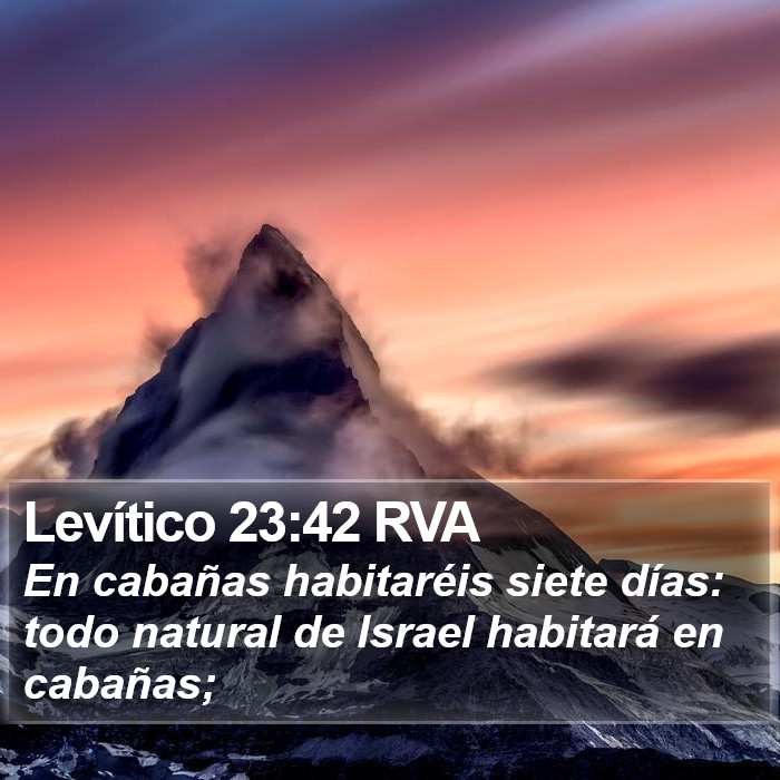 Levítico 23:42 RVA Bible Study