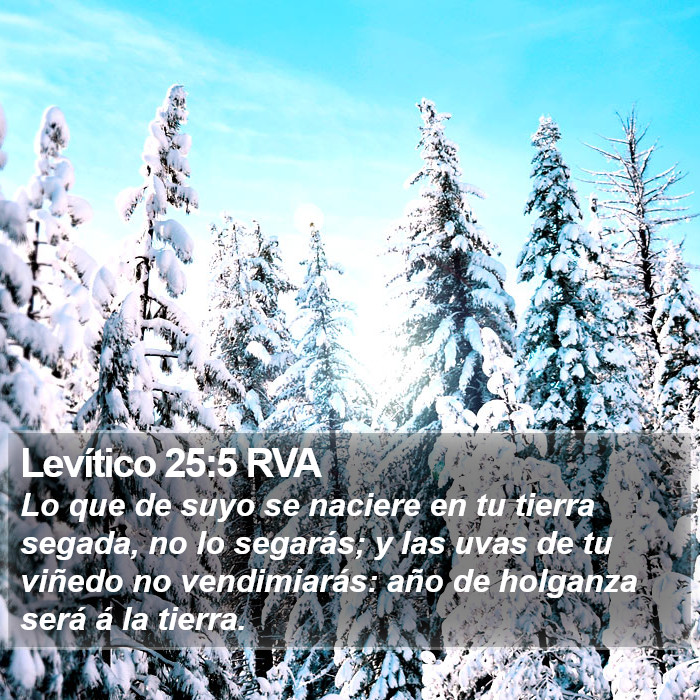 Levítico 25:5 RVA Bible Study