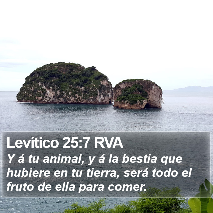 Levítico 25:7 RVA Bible Study