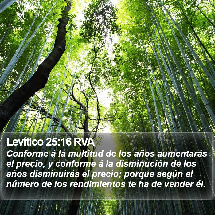 Levítico 25:16 RVA Bible Study