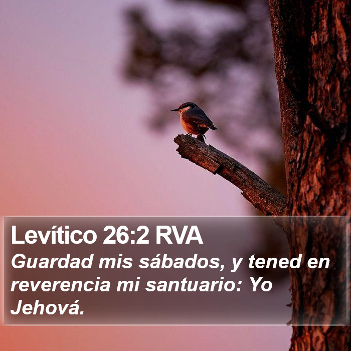 Levítico 26:2 RVA Bible Study