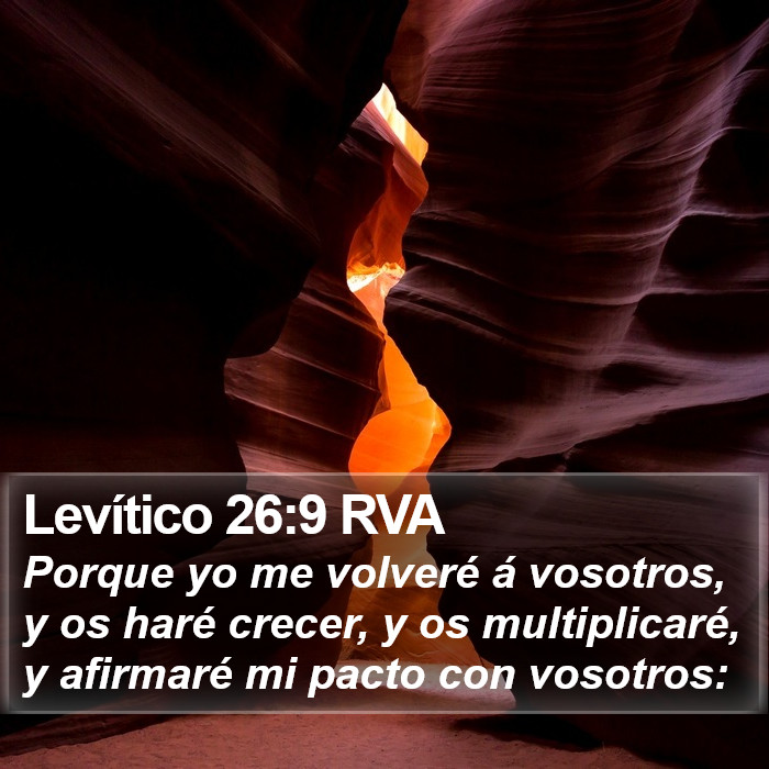 Levítico 26:9 RVA Bible Study