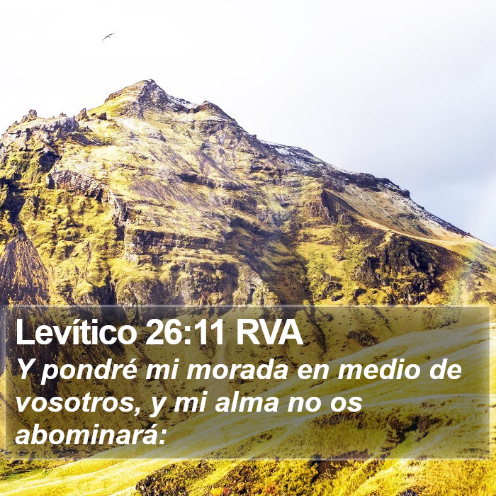 Levítico 26:11 RVA Bible Study