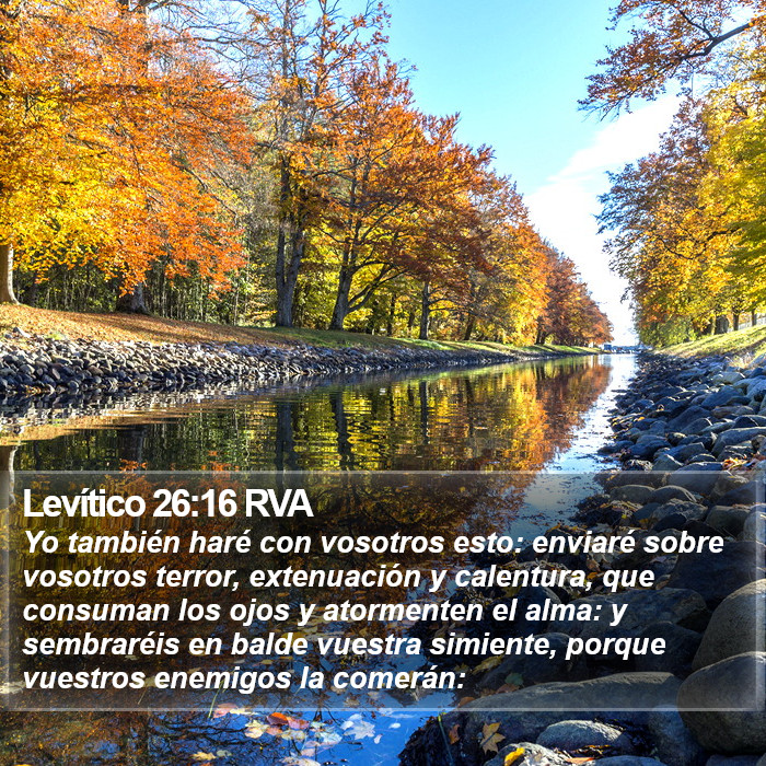 Levítico 26:16 RVA Bible Study