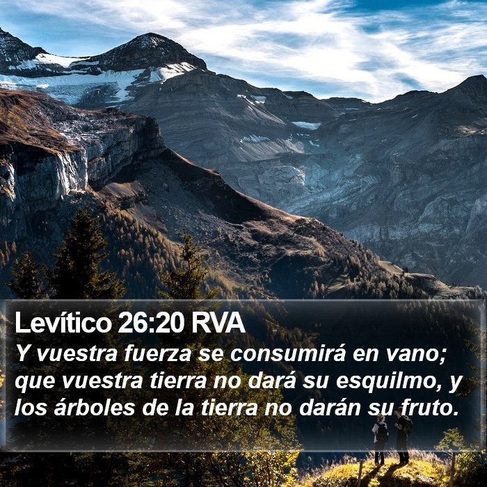 Levítico 26:20 RVA Bible Study