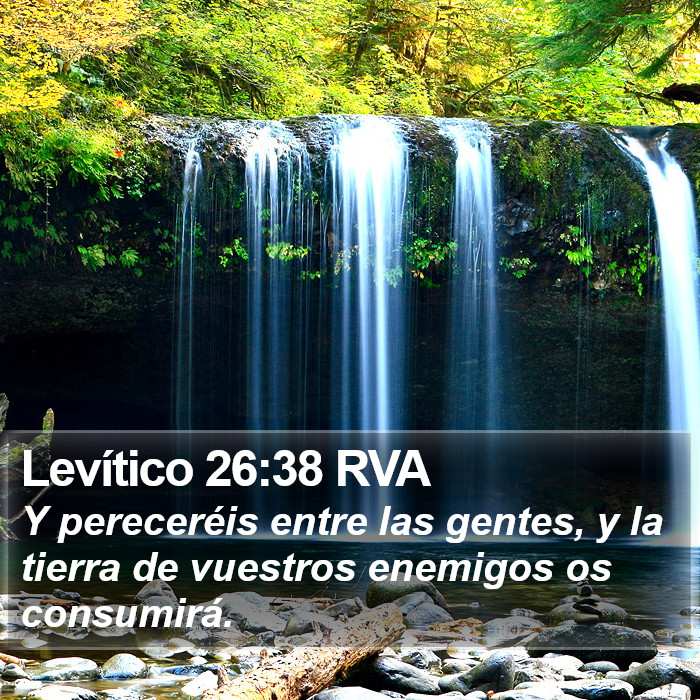 Levítico 26:38 RVA Bible Study