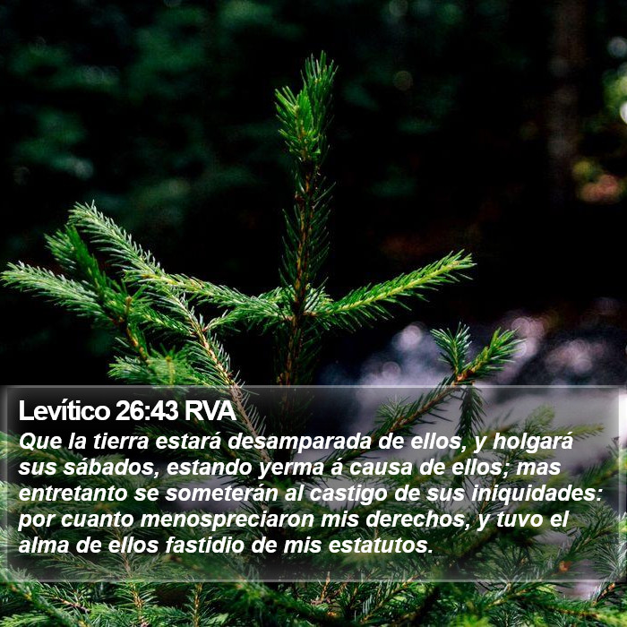 Levítico 26:43 RVA Bible Study