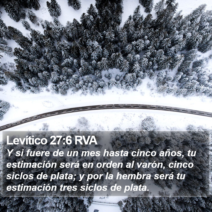 Levítico 27:6 RVA Bible Study