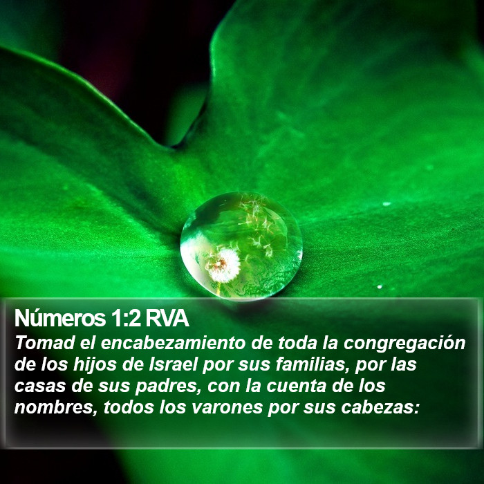 Números 1:2 RVA Bible Study