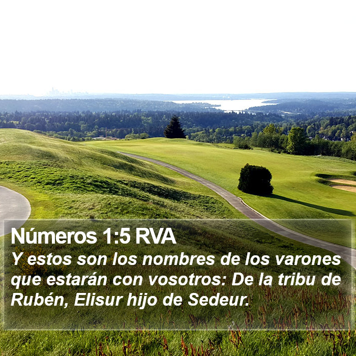 Números 1:5 RVA Bible Study