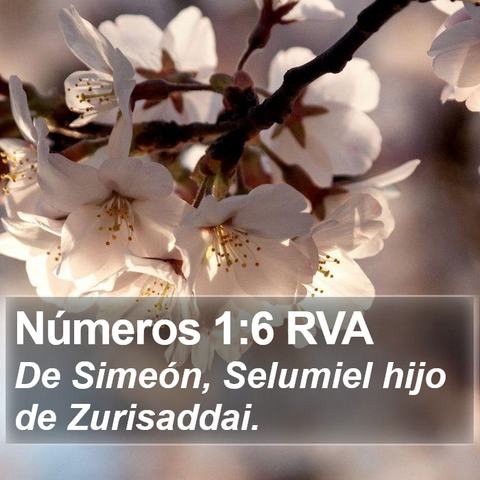 Números 1:6 RVA Bible Study