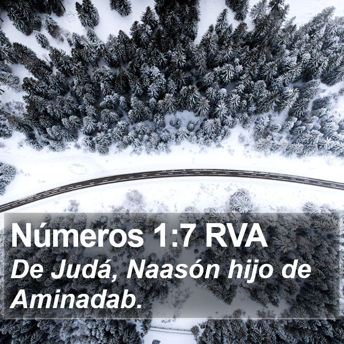 Números 1:7 RVA Bible Study