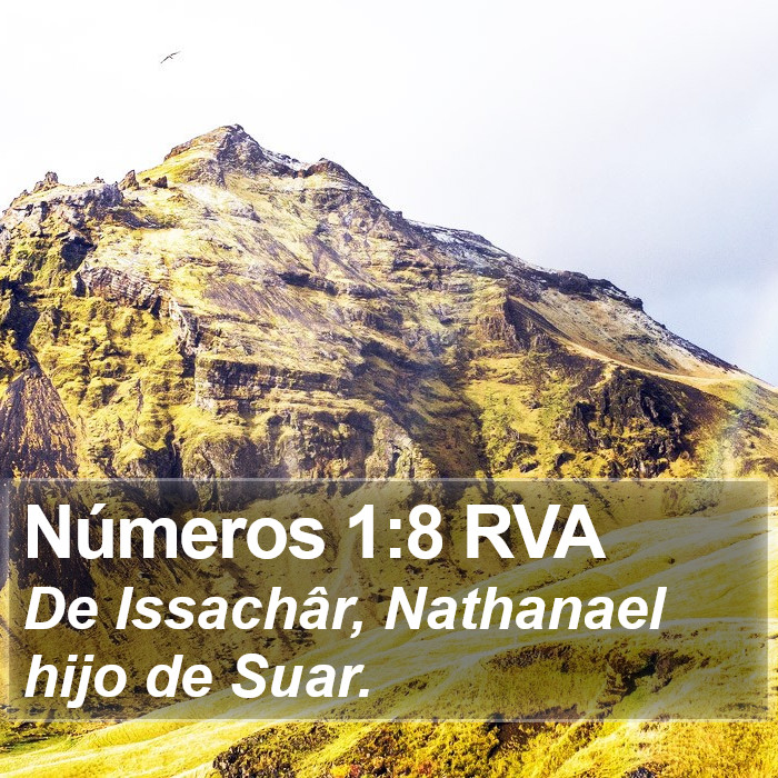 Números 1:8 RVA Bible Study