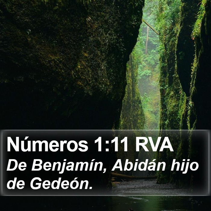 Números 1:11 RVA Bible Study