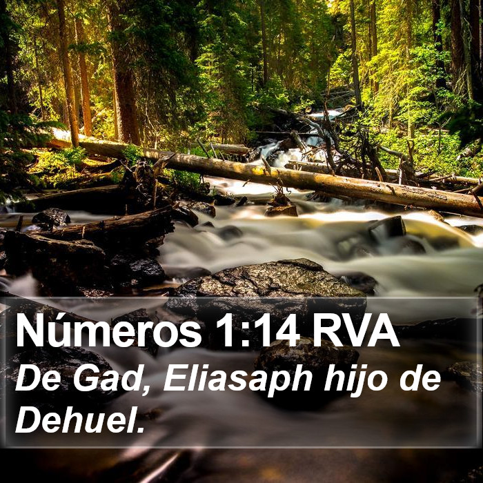 Números 1:14 RVA Bible Study