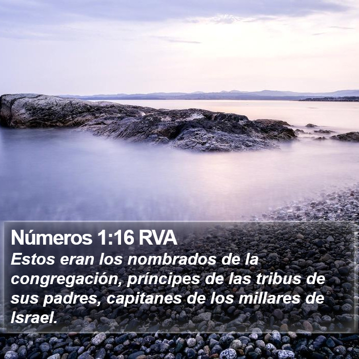 Números 1:16 RVA Bible Study