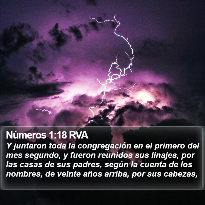 Números 1:18 RVA Bible Study