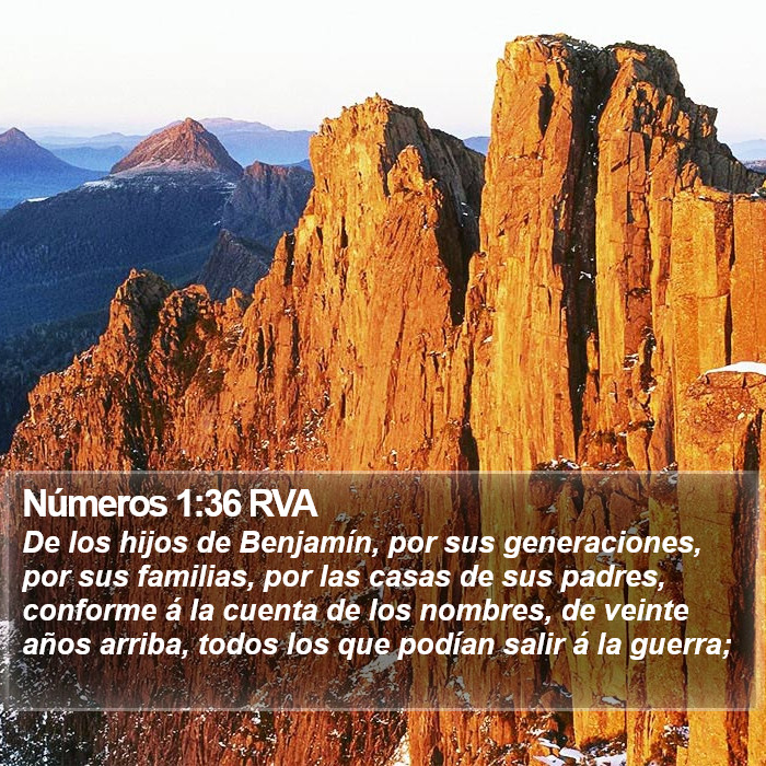 Números 1:36 RVA Bible Study