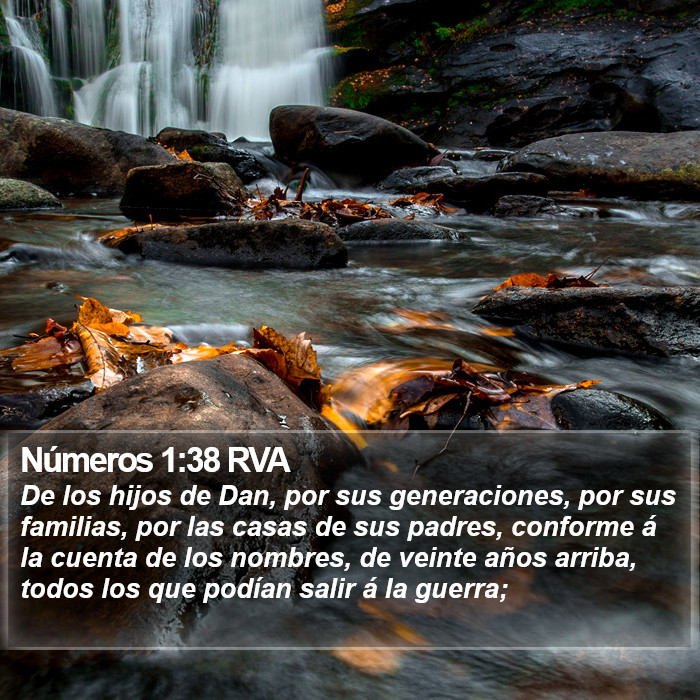 Números 1:38 RVA Bible Study