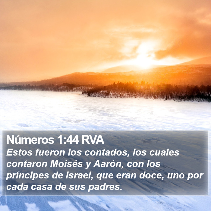 Números 1:44 RVA Bible Study