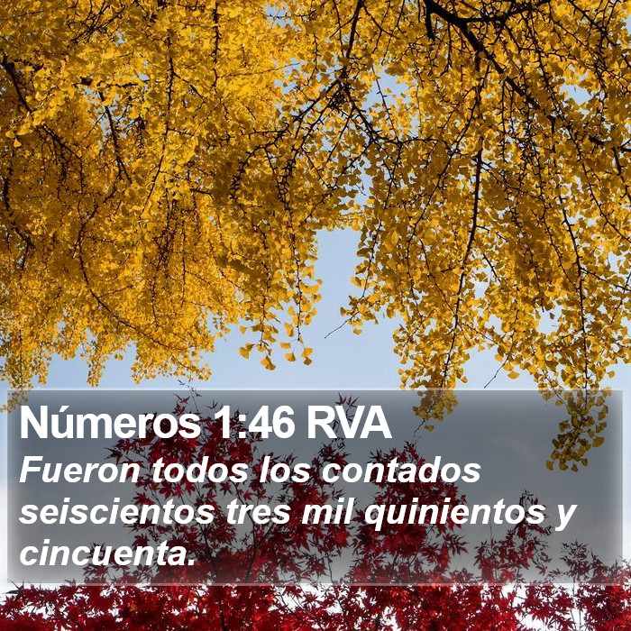 Números 1:46 RVA Bible Study