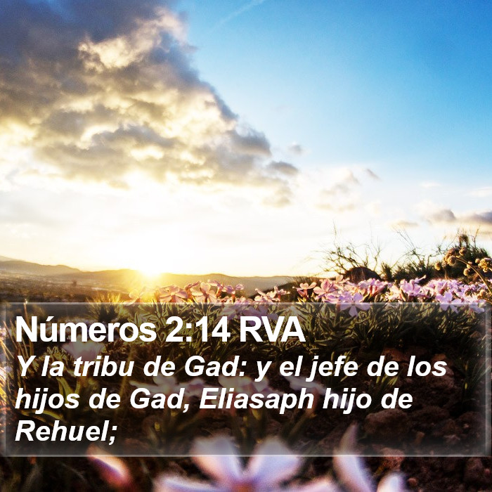 Números 2:14 RVA Bible Study