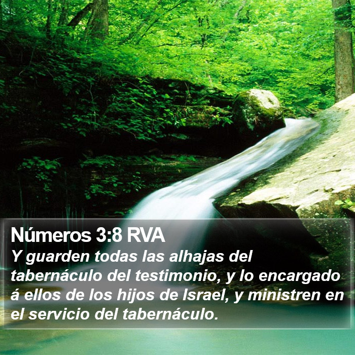 Números 3:8 RVA Bible Study