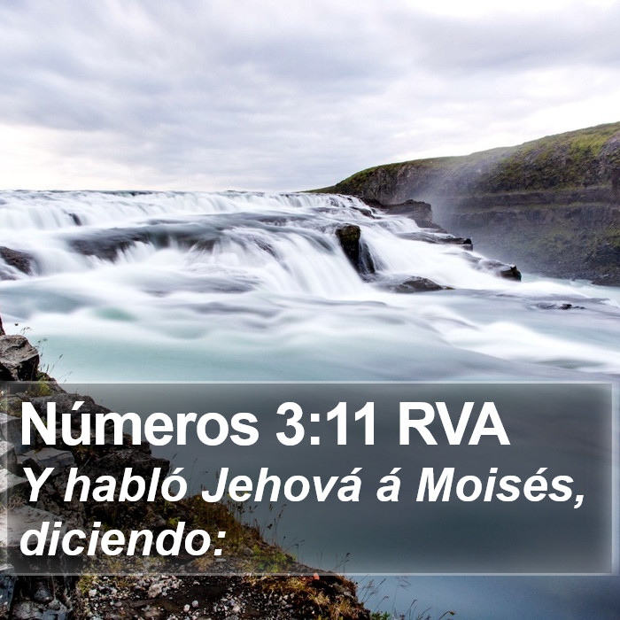 Números 3:11 RVA Bible Study