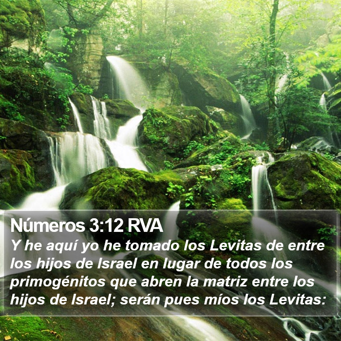 Números 3:12 RVA Bible Study