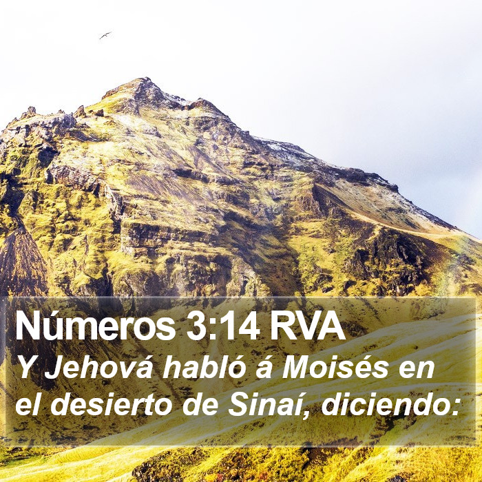 Números 3:14 RVA Bible Study