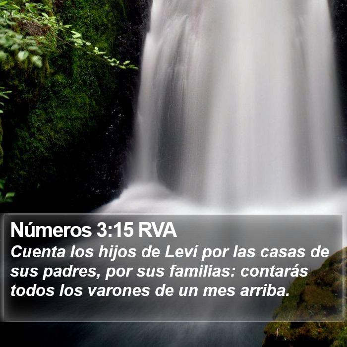 Números 3:15 RVA Bible Study