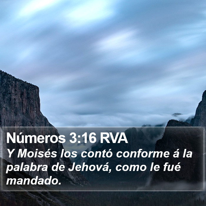 Números 3:16 RVA Bible Study