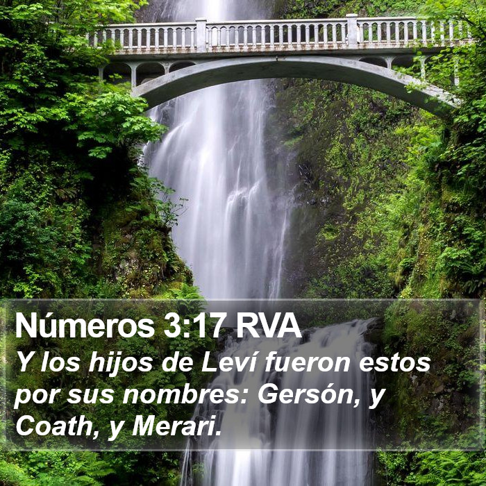 Números 3:17 RVA Bible Study