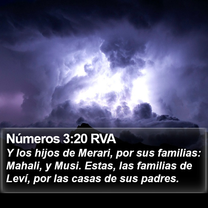 Números 3:20 RVA Bible Study