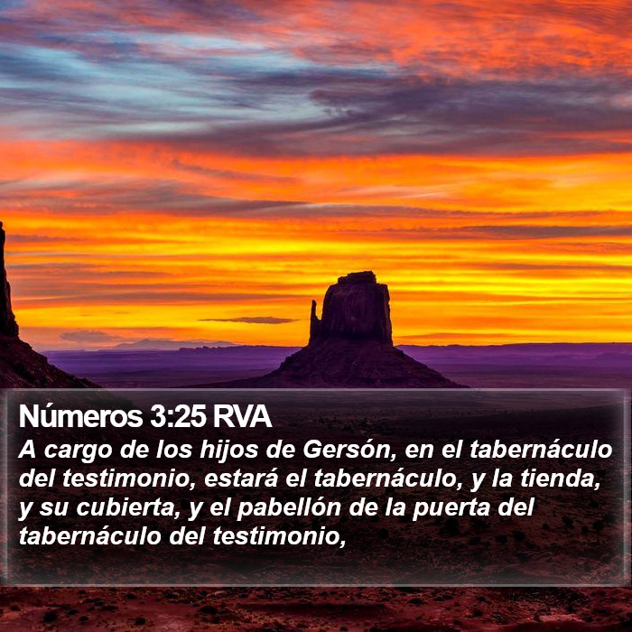 Números 3:25 RVA Bible Study