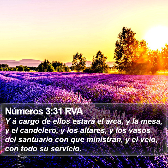 Números 3:31 RVA Bible Study