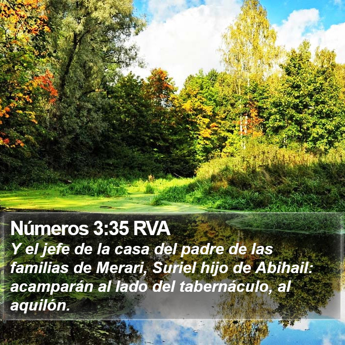 Números 3:35 RVA Bible Study