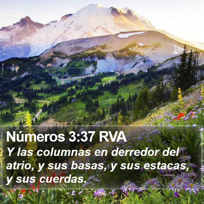 Números 3:37 RVA Bible Study