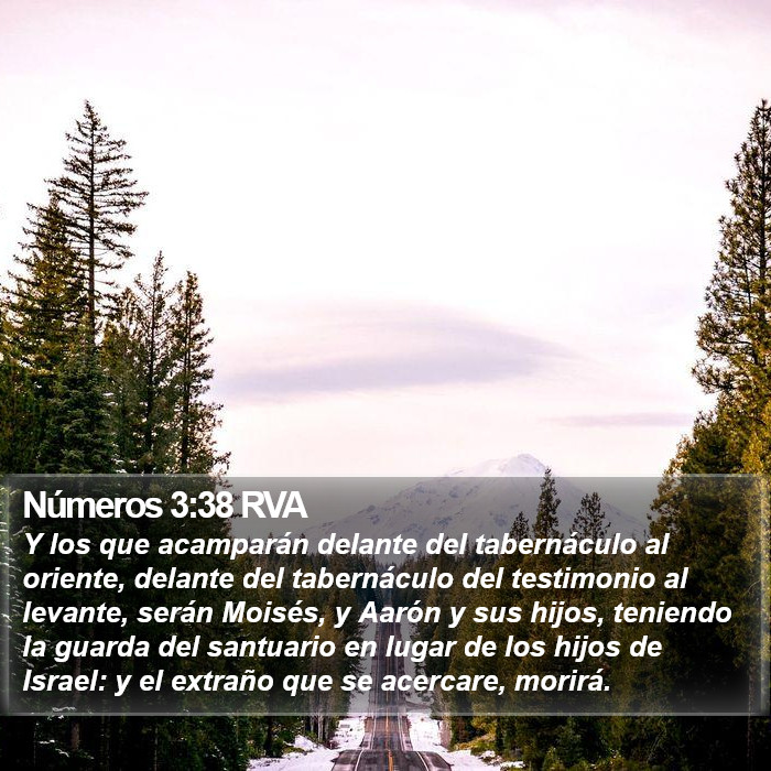 Números 3:38 RVA Bible Study