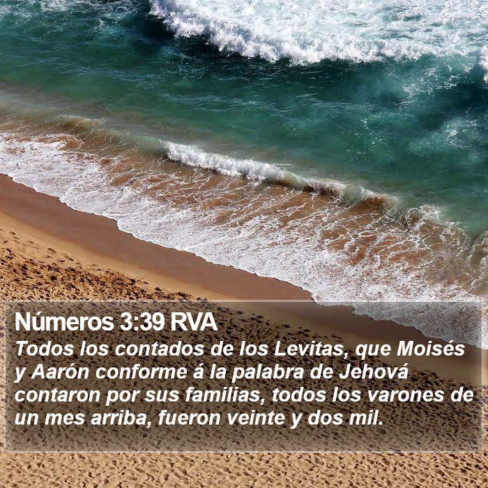 Números 3:39 RVA Bible Study