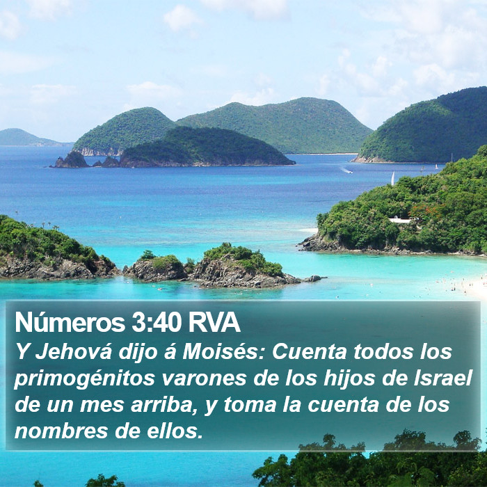 Números 3:40 RVA Bible Study