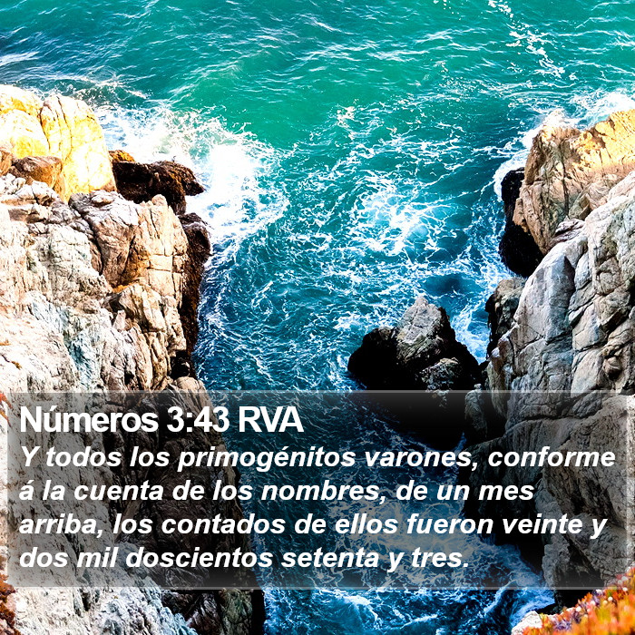 Números 3:43 RVA Bible Study