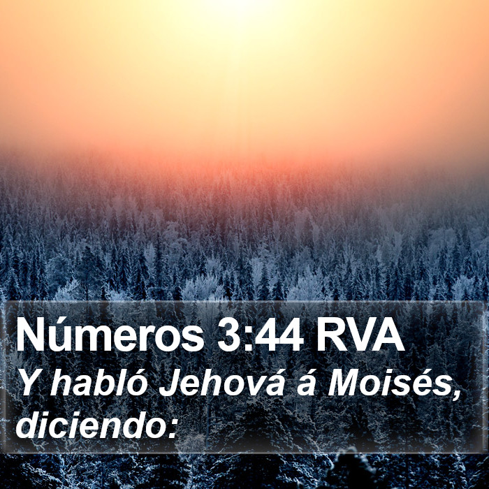 Números 3:44 RVA Bible Study