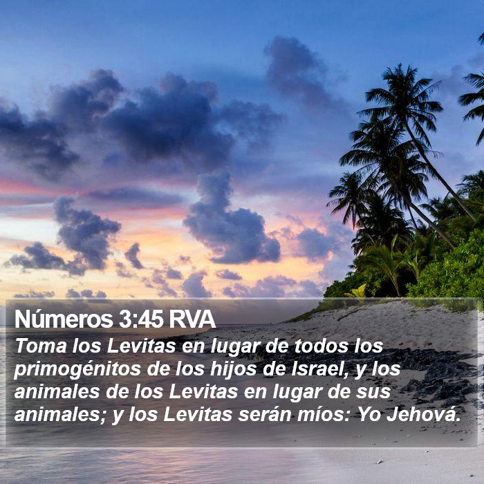 Números 3:45 RVA Bible Study