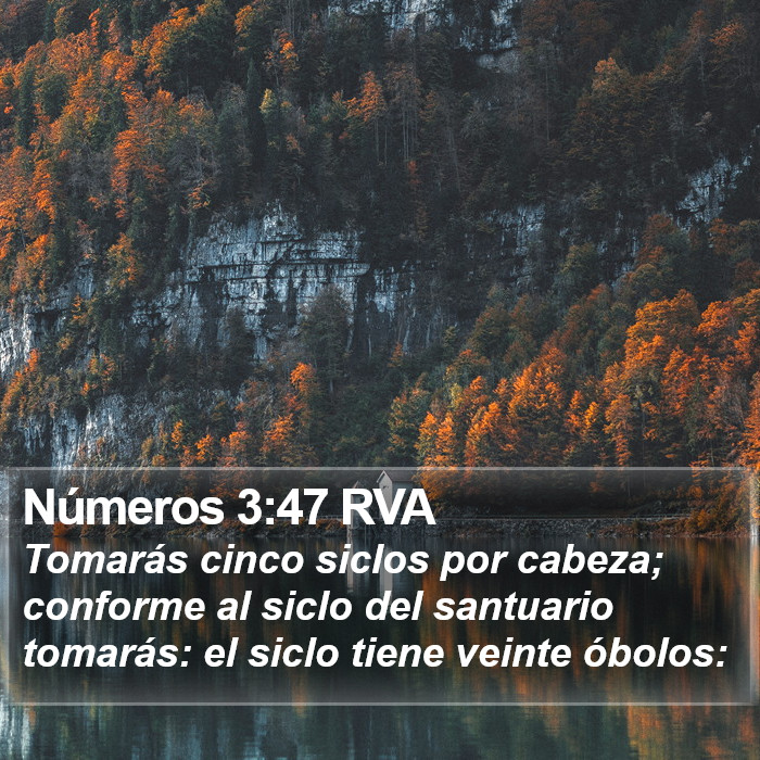 Números 3:47 RVA Bible Study