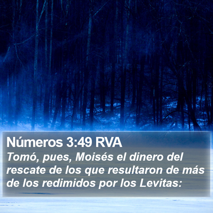 Números 3:49 RVA Bible Study