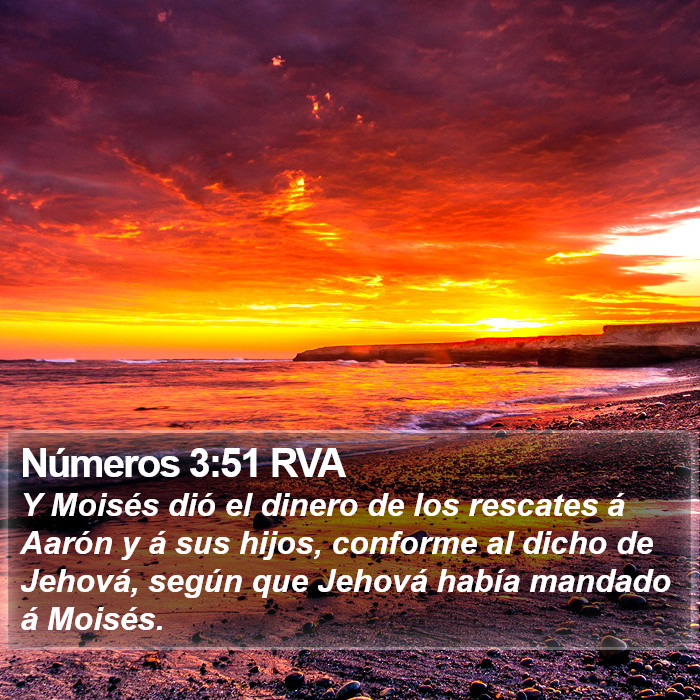 Números 3:51 RVA Bible Study