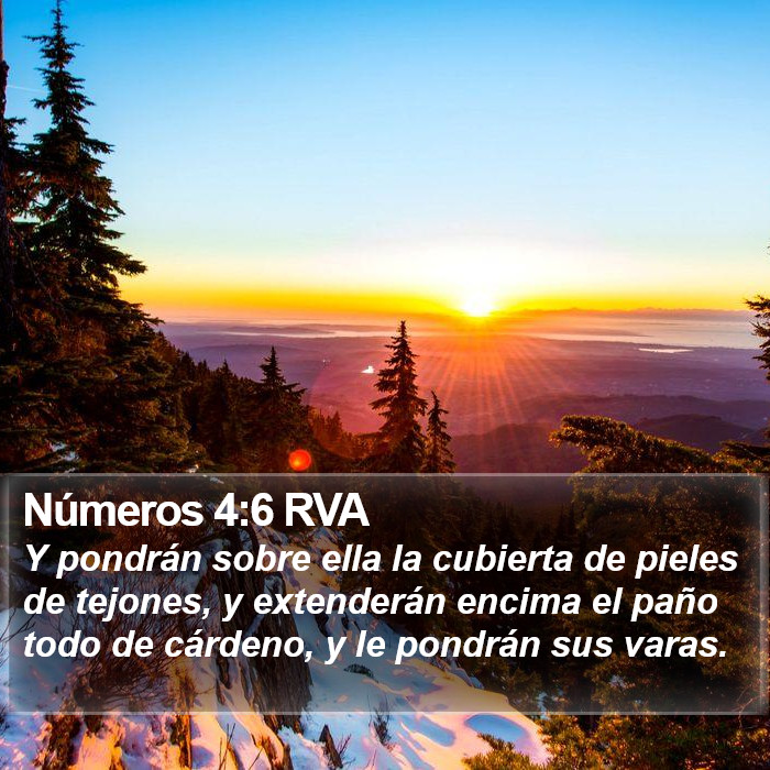 Números 4:6 RVA Bible Study